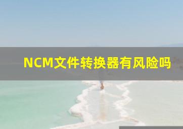 NCM文件转换器有风险吗