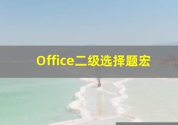 Office二级选择题宏