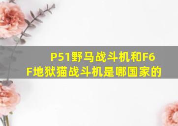 P51野马战斗机和F6F地狱猫战斗机是哪国家的