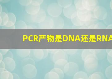 PCR产物是DNA还是RNA