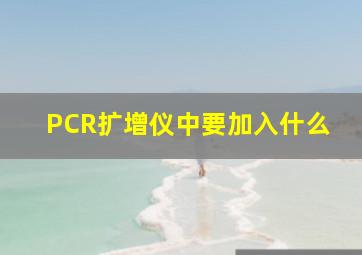 PCR扩增仪中要加入什么