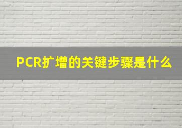 PCR扩增的关键步骤是什么