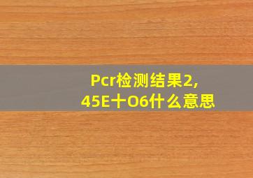 Pcr检测结果2,45E十O6什么意思