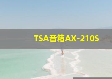 TSA音箱AX-210S