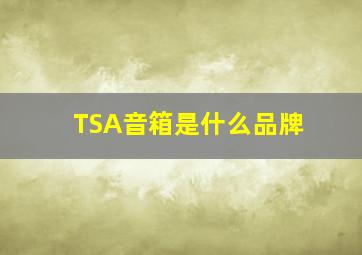 TSA音箱是什么品牌