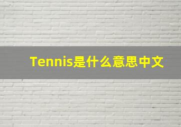 Tennis是什么意思中文