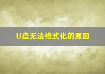 U盘无法格式化的原因