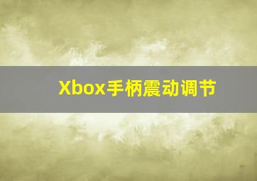 Xbox手柄震动调节