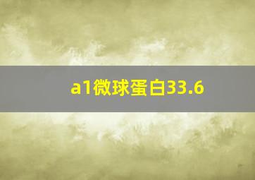 a1微球蛋白33.6