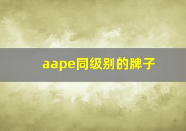 aape同级别的牌子