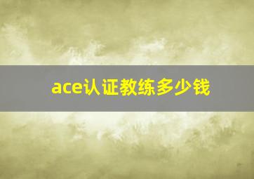 ace认证教练多少钱