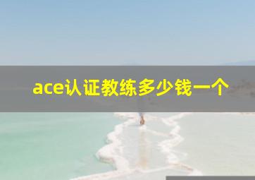 ace认证教练多少钱一个