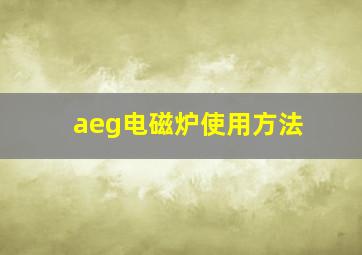 aeg电磁炉使用方法