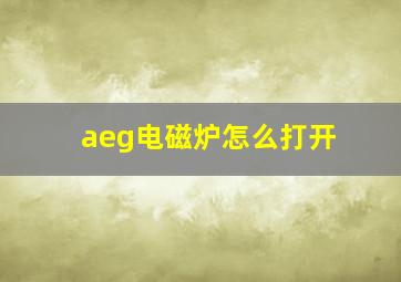 aeg电磁炉怎么打开