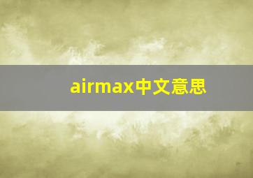 airmax中文意思