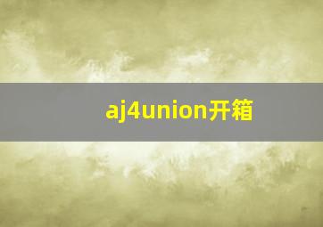 aj4union开箱