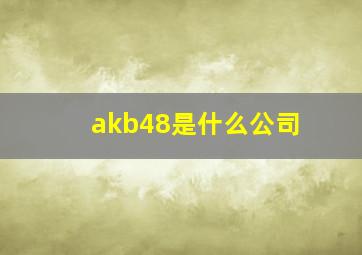 akb48是什么公司