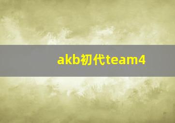 akb初代team4