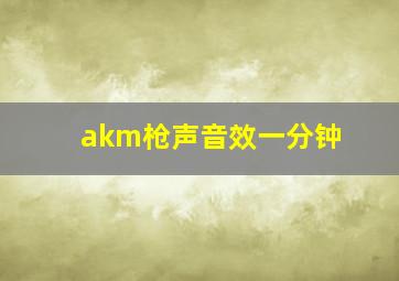 akm枪声音效一分钟