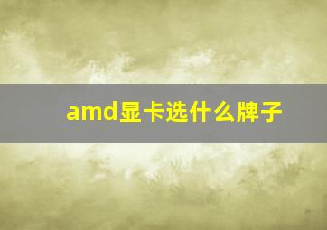 amd显卡选什么牌子