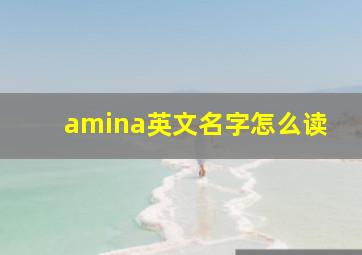 amina英文名字怎么读