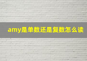 amy是单数还是复数怎么读