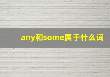 any和some属于什么词