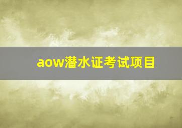 aow潜水证考试项目