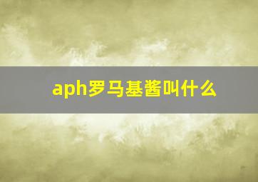 aph罗马基酱叫什么