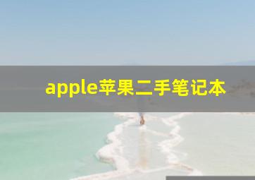 apple苹果二手笔记本