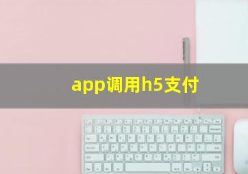 app调用h5支付