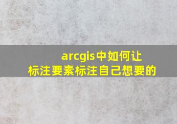 arcgis中如何让标注要素标注自己想要的