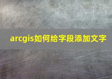 arcgis如何给字段添加文字