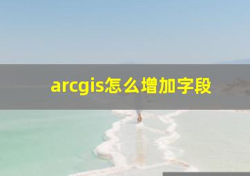 arcgis怎么增加字段