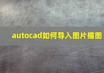 autocad如何导入图片描图