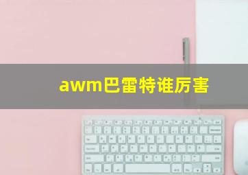 awm巴雷特谁厉害