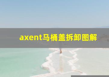 axent马桶盖拆卸图解