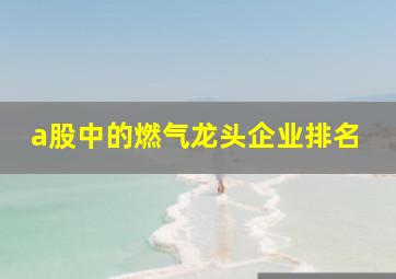 a股中的燃气龙头企业排名