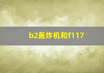 b2轰炸机和f117