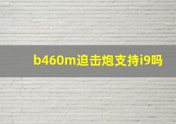 b460m迫击炮支持i9吗