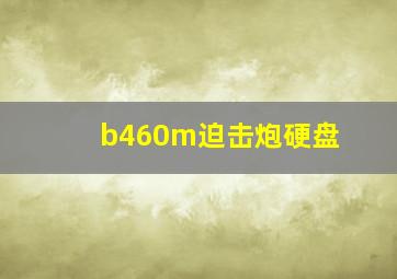 b460m迫击炮硬盘