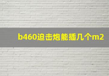 b460迫击炮能插几个m2