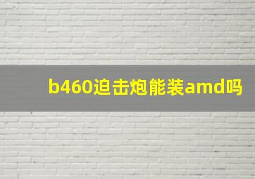 b460迫击炮能装amd吗