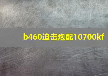 b460迫击炮配10700kf