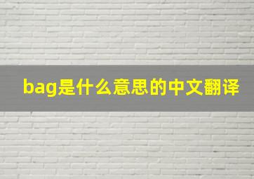 bag是什么意思的中文翻译