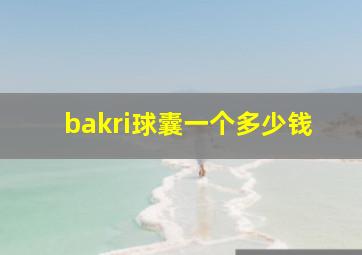 bakri球囊一个多少钱