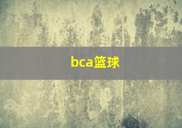 bca篮球