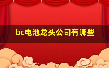 bc电池龙头公司有哪些