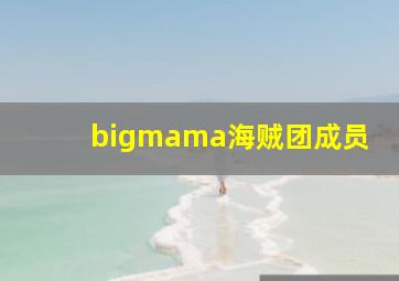 bigmama海贼团成员