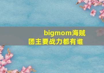 bigmom海贼团主要战力都有谁